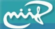 Logo NIIFI Logo NIIFI